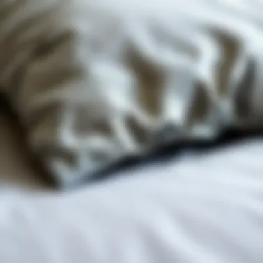 Luxury Fabric Texture Close-up of luxury fabric texture on a gray comforter