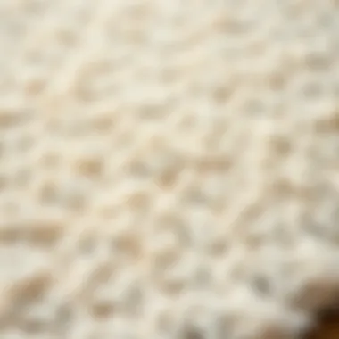 Craftsmanship of Off-White Round Rug Close-up of off-white rug texture showcasing craftsmanship