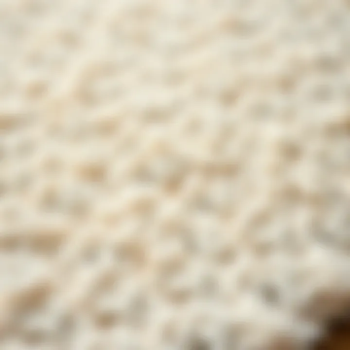 Craftsmanship of Off-White Round Rug Close-up of off-white rug texture showcasing craftsmanship