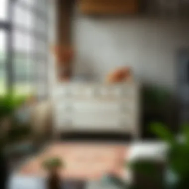 Rustic white chest of drawers in a modern industrial decor