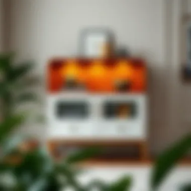 Contemporary short DVD storage cabinet with decorative elements