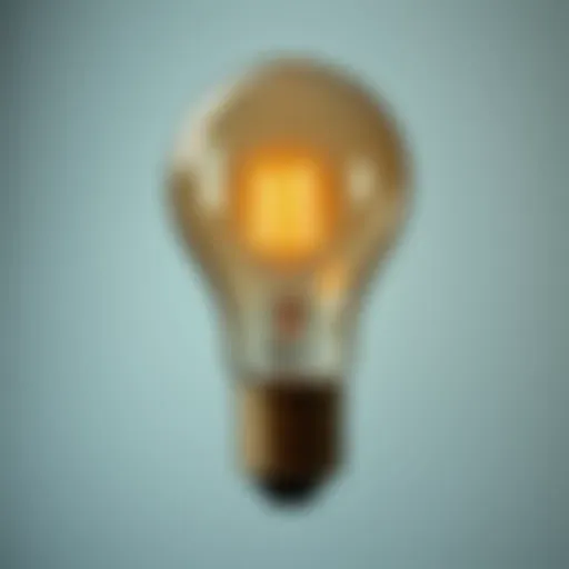 Exploring the Type T 150 Watt Bulb Introduction
