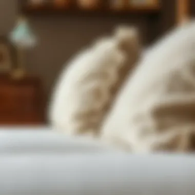 Close-up of textured cotton fabric used in papasan cushions