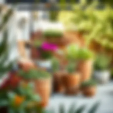 Elegant Outdoor Space with Large Saucer Pots Outdoor patio adorned with large saucer pots and vibrant plants