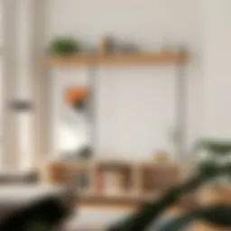 Exploring the Versatility of the Amazon Storage Cube Shelf Introduction