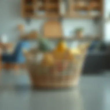 Exploring the Versatility of the Three Compartment Basket Introduction