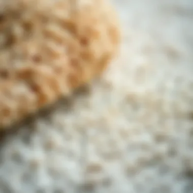 Texture and Quality of Washable Rug Materials Close-up view of material texture for washable rugs