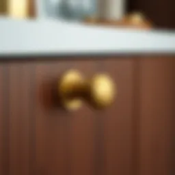 Elegant brass cabinet pull on a wooden cabinet