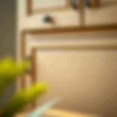 Craftsmanship Details of Cabinet Detailed craftsmanship of a 15 x 72 cabinet