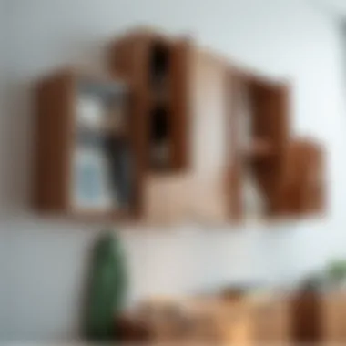Notable Exploring Wall Mount Storage Cabinets: A Comprehensive Guide Notable Exploring Wall Mount Storage Cabinets: A Comprehensive Guide