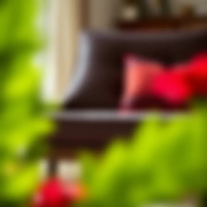 Cushion Maintenance Tips Maintenance tips for keeping rocking chair cushions in pristine condition