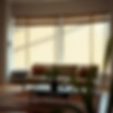 Maintaining Fabric Horizontal Blinds for Longevity Care and maintenance tips for fabric horizontal blinds displayed visually