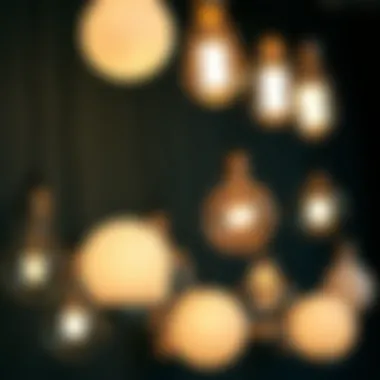 Diverse Designs of Frosted Vintage Light Bulbs A collection of various designs of frosted vintage light bulbs.
