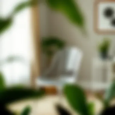 Care and Maintenance for Longevity Maintenance and care tips for Ghost chairs