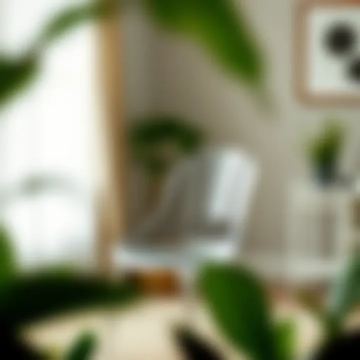 Care and Maintenance for Longevity Maintenance and care tips for Ghost chairs