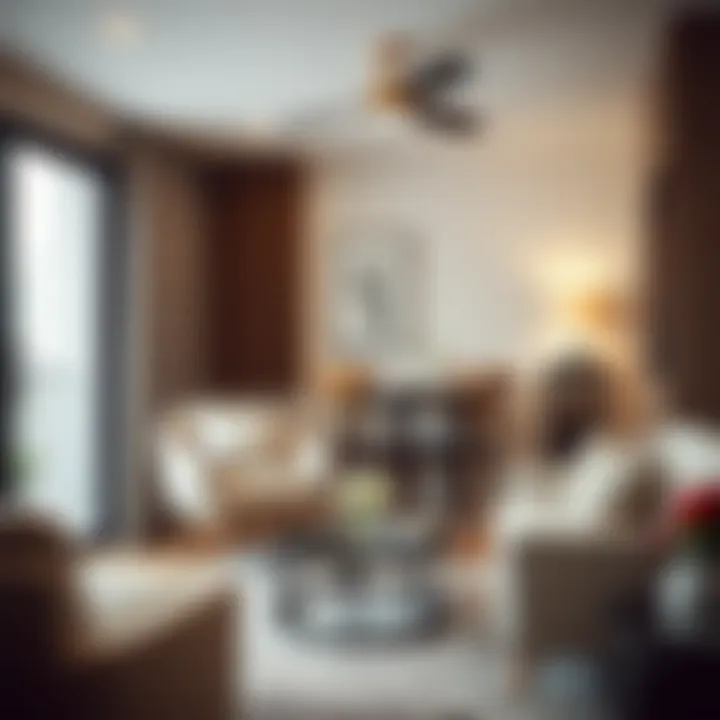 Aesthetic enhancements in a small living and dining setup