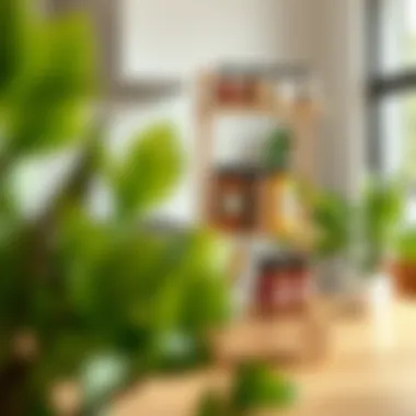 Modular spice rack system