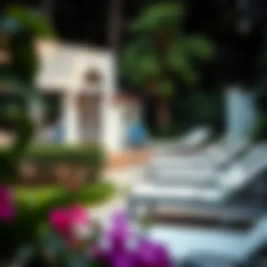 Serene garden space with multiple lawn chaise lounges arranged for relaxation