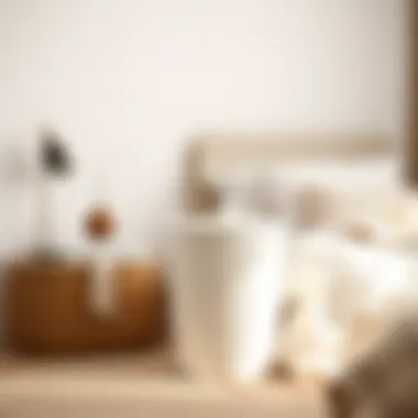 Serenity Defined: Minimalist Hamper with Lid Minimalist hamper with lid in a serene bedroom
