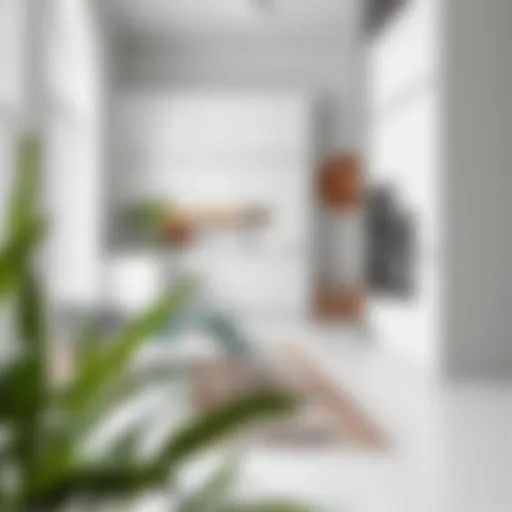 Elegant Narrow Kitchen Rug Elegant narrow kitchen rug enhancing a modern kitchen space