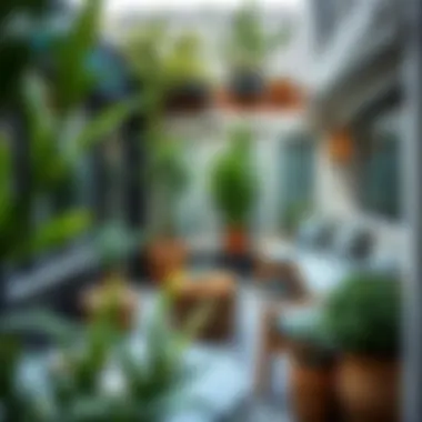 Inviting Small Garden Space with Decorative Elements Inviting small garden space with decorative elements