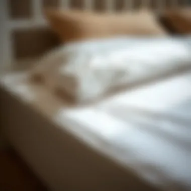 Functionality of Bed Sheet Grippers Close-up of a bed sheet gripper clip in action