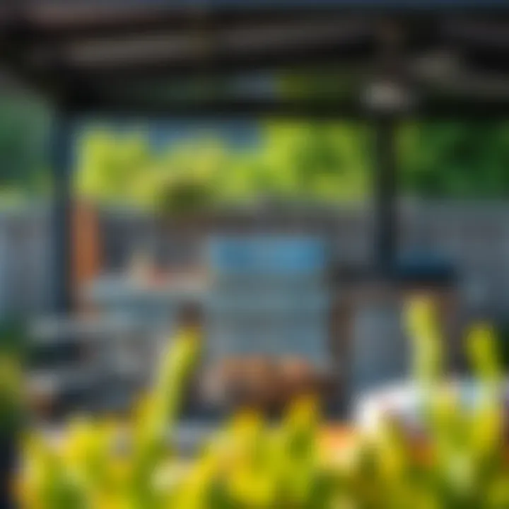 Safety measures for outdoor grilling in a pristine environment