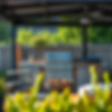 Grilling Safety Essentials Safety measures for outdoor grilling in a pristine environment