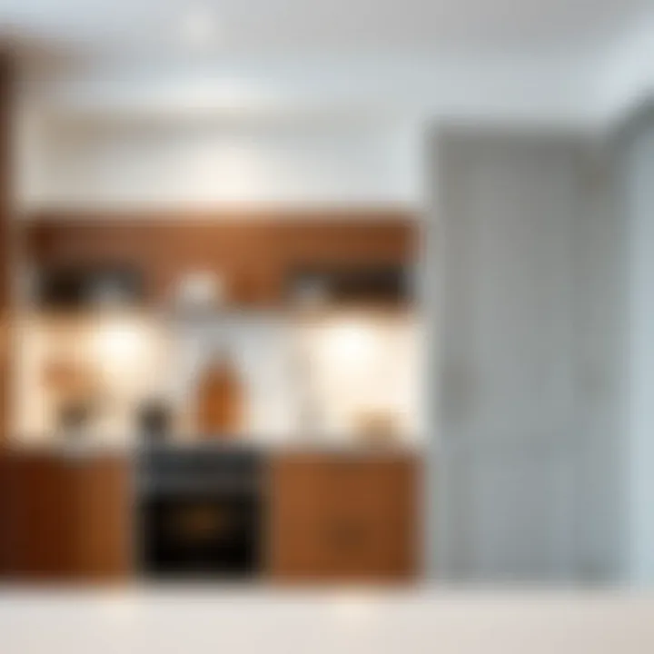 Elegant Over Door Rack in Modern Kitchen Elegant design of an over door kitchen rack in a modern kitchen