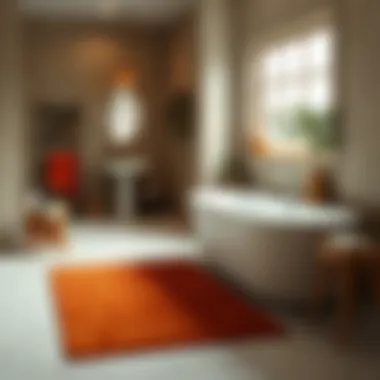 Rust colored bathroom rug harmonizing with stylish bathroom decor