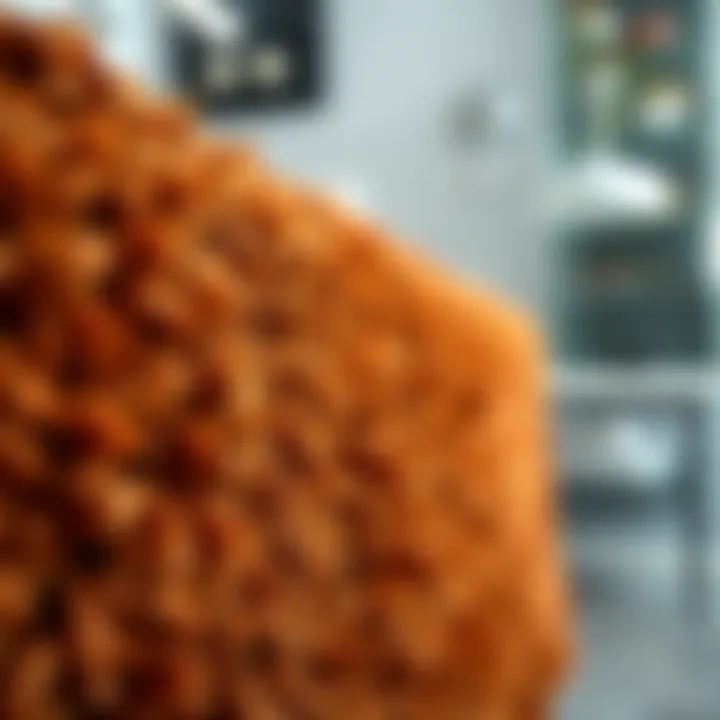 Close-up of a luxurious rust colored rug showcasing its texture and design