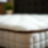 Close-up of a luxurious pillow top mattress pad highlighting its plush surface