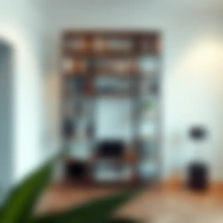 Studio Bookshelf Divider: Exploring Utility and Aesthetics Introduction