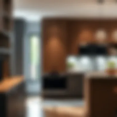 Sleek Tall Skinny Kitchen Cabinet Design Sleek tall skinny kitchen cabinet design