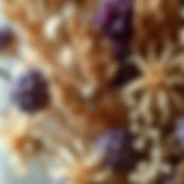 Close-up of intricate details in a dried flower arrangement