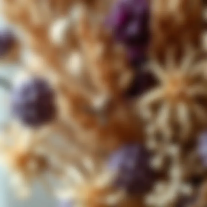 Close-up of intricate details in a dried flower arrangement