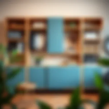 Contemporary shelving designs for vibrant storage areas