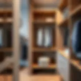 Elegant wooden shelves enhancing wardrobe organization