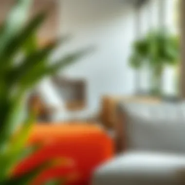 Materials for Sunroom Lounge Chairs Range of materials showcasing sunroom lounge chair options