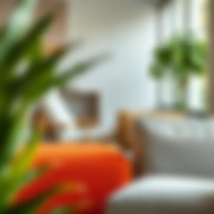 Materials for Sunroom Lounge Chairs Range of materials showcasing sunroom lounge chair options