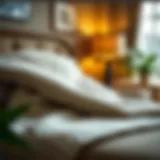 The Importance of Blanket Protectors in Home Furnishings Introduction