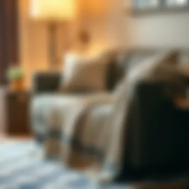 The Importance of Blanket Protectors in Home Furnishings Summary The Importance of Blanket Protectors in Home Furnishings Summary