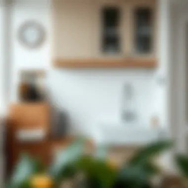 Efficient Sink and Cabinet Setup for Compact Kitchens Compact kitchen with an efficient sink and cabinet setup