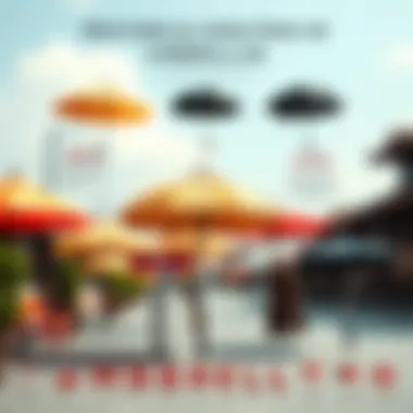 Historical Evolution of Umbrellas An infographic illustrating the historical evolution of umbrella designs through various cultures and time periods.