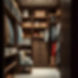 Stylish closet organization