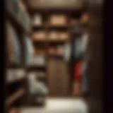 Stylish Organization Solutions for Your Closet Stylish closet organization