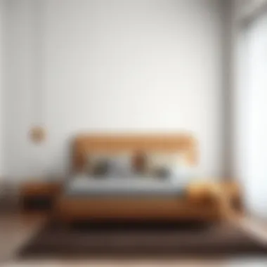 Functional Features of Cort Beds Functional features of cort beds in contemporary interiors