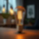 Understanding the Standard Light Bulb Base E26 Introduction