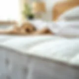 Textural Insight into Waterproof Materials Close-up of a waterproof mattress pad material showcasing its texture.