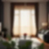 Elegant Room Division with Luxurious Curtains Luxurious fabric curtains elegantly divide a spacious living area